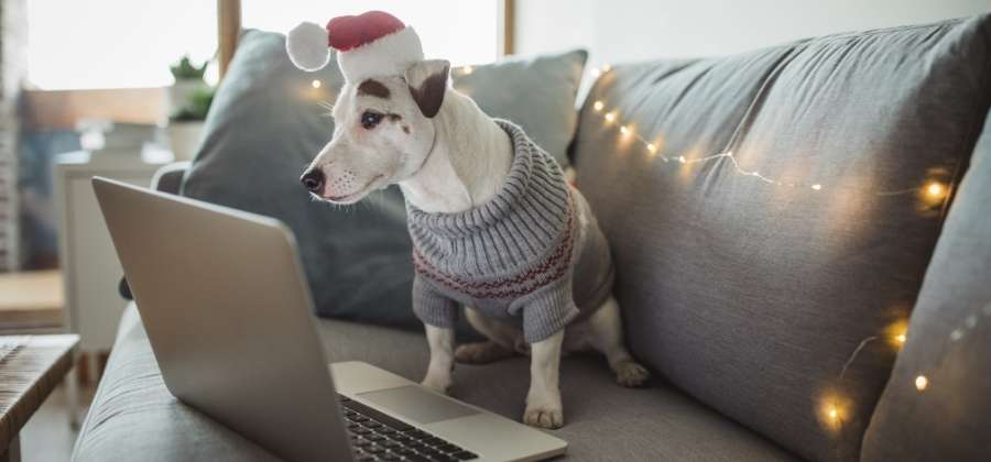 Jak si poradit s covidovými Vánoci? Zkuste online dárek!