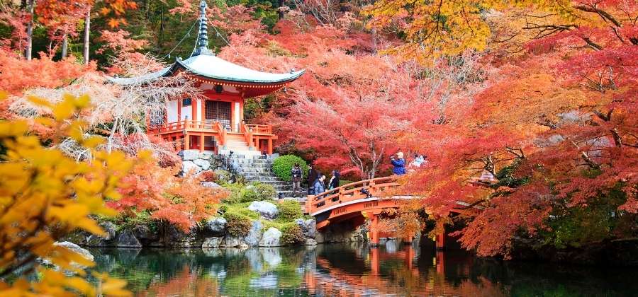 Japonsko na podzim: 15 nejbarevnějších míst, která prostě musíte vidět