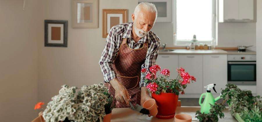 Zpětná hypotéka: Zabezpečení na stáří, nebo past na seniory?